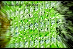 syderal.net_010